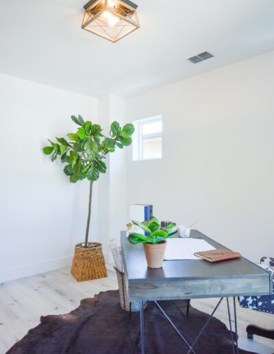 Minimalist home office with a metal desk, patterned chair, potted plant, and geometric ceiling light. White walls, light wood floor, and black door. Natural light from two small windows.